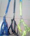 Dog Harness & Leash - Small/Medium