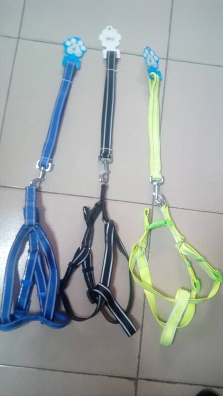 Dog Harness & Leash - Small/Medium