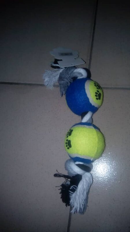 Pet Double Tennis Ball Toy