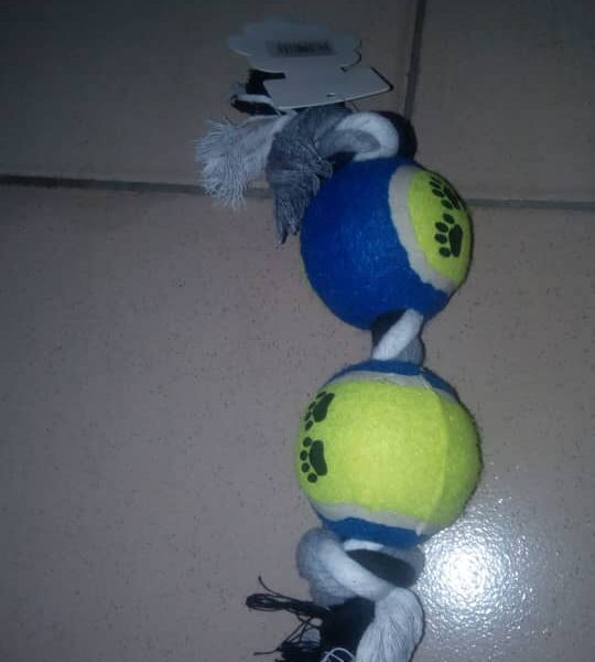 Pet Double Tennis Ball Toy