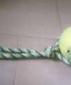 Single Tennis Ball Rope Toy for Dogs - Large