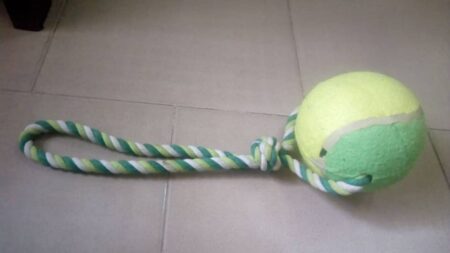 Single Tennis Ball Rope Toy for Dogs - Large