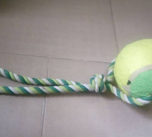 Single Tennis Ball Rope Toy for Dogs - Large