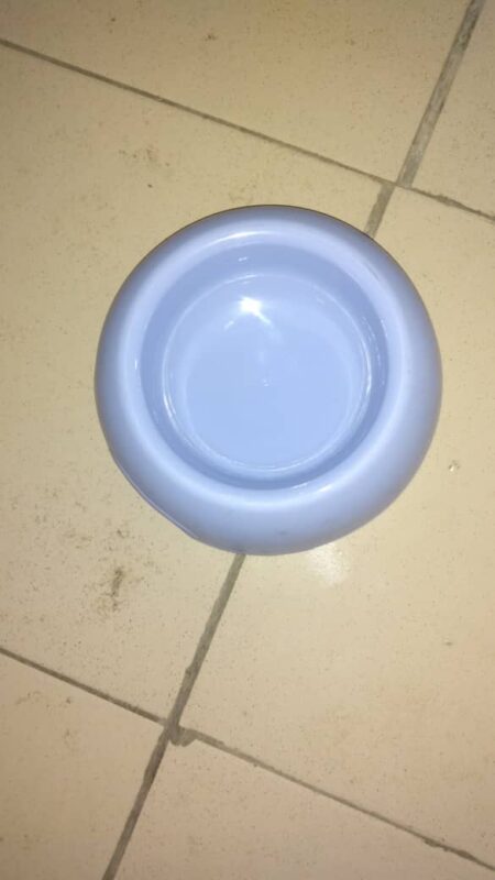 Dogs & Cats Round Feeding Bowl - Plastic