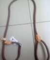 Slip Rope Leash for Dogs