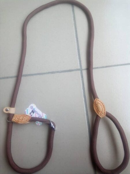 Slip Rope Leash for Dogs