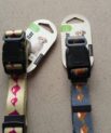 Colourful Dog Collars