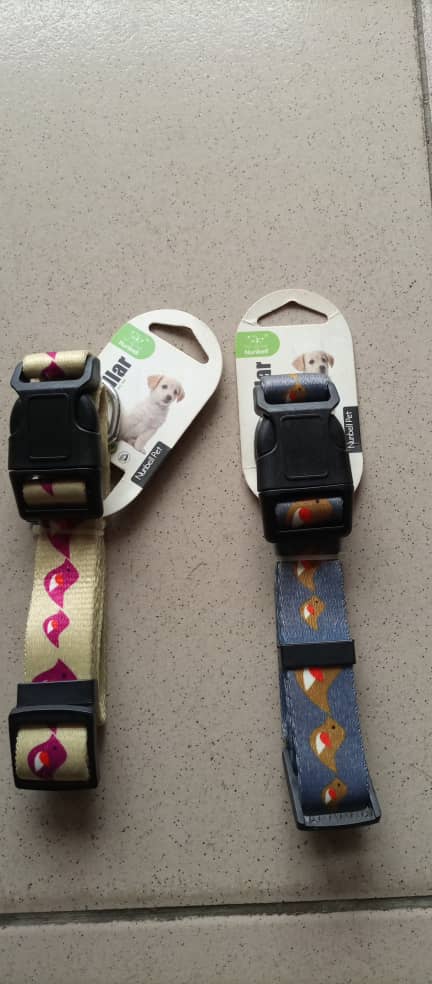 Colourful Dog Collars