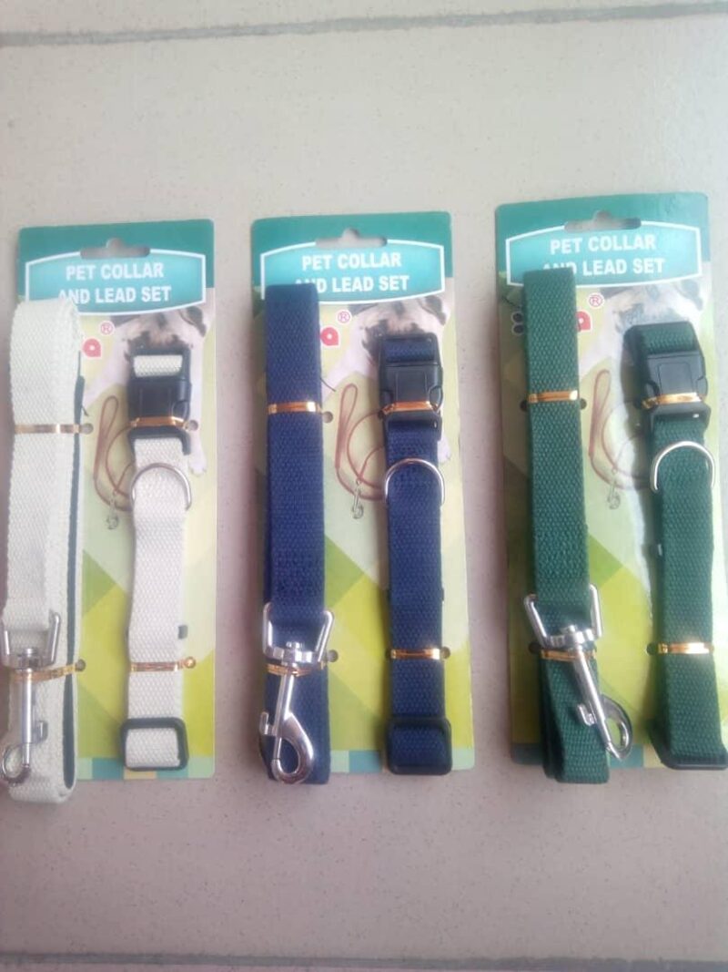 Pet Collar & Lead Set