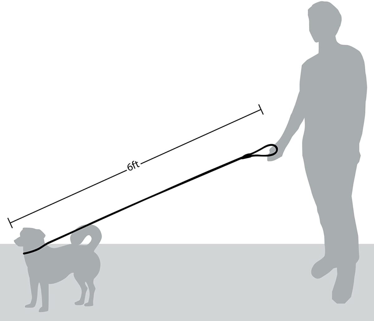 Slip Rope Leash for Dogs