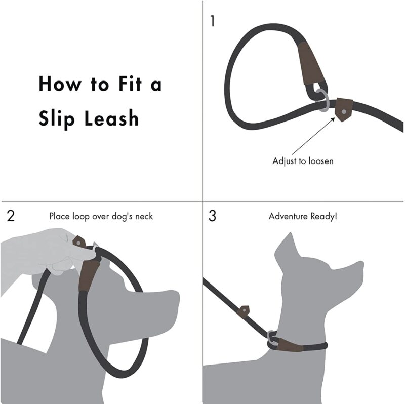 Slip Rope Leash for Dogs