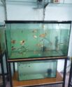 Aquarium for Sale in Abuja