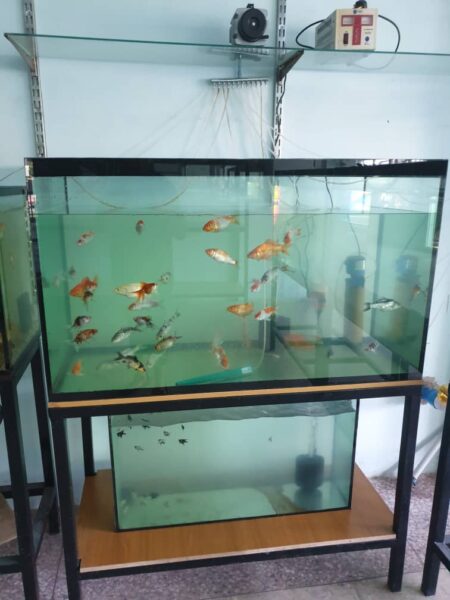 Aquarium for Sale in Abuja