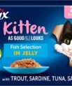 Felix Kitten Good as it looks Fish Selection (12x100g)