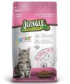 Jungle kitten dry food with Chicken (500g)