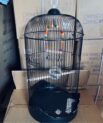 Bird cage W308 ( 34*23*72cm)