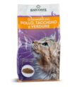 Radames Adult Cat food 2kg