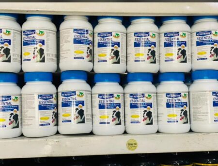 Essential Multivitamin And Mineral Supplement