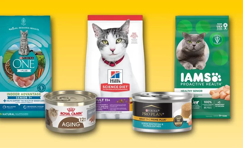 Best Cat Food for Senior Cats in Nigeria