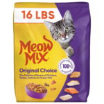 Affordable Dry Cat Food for Multiple Cats