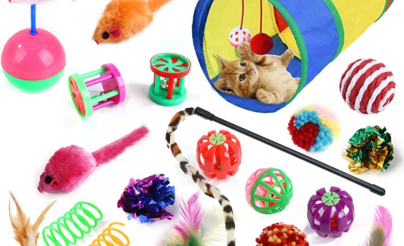 Affordable Pet Toys in Abuja
