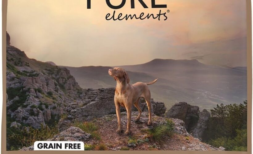 Grain Free Dog Food in Nigeria – Is It Worth It?