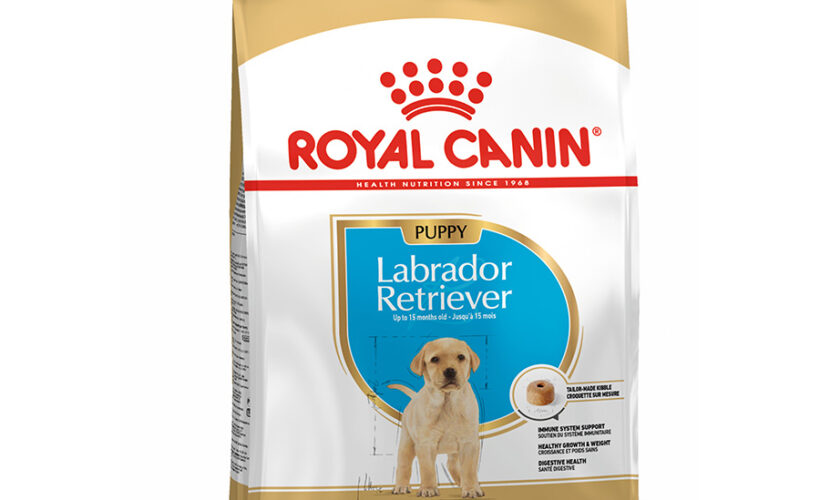 Best Dog Food for Labrador Retriever in Nigeria