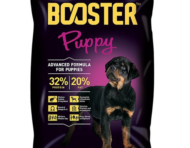 Where to Buy Dog Food in Life Camp, Abuja