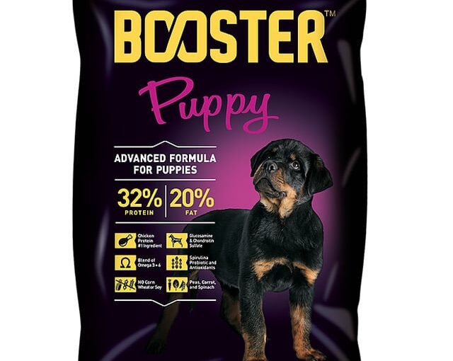 Where to Buy Dog Food in Life Camp, Abuja