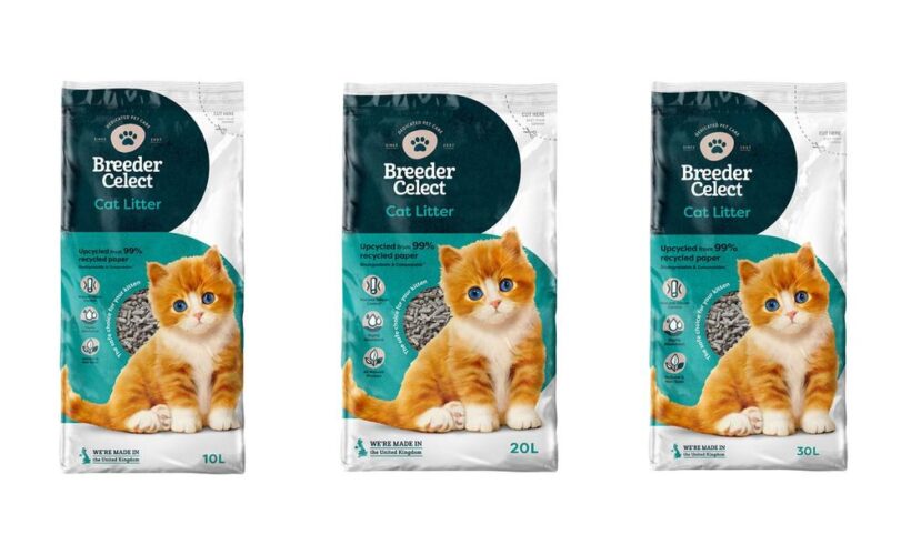 Unscented vs Scented Cat Litter – Which Is Better?