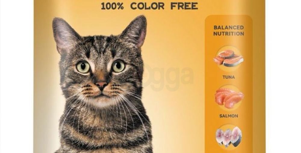 Cheap Cat Food That Is Still Healthy