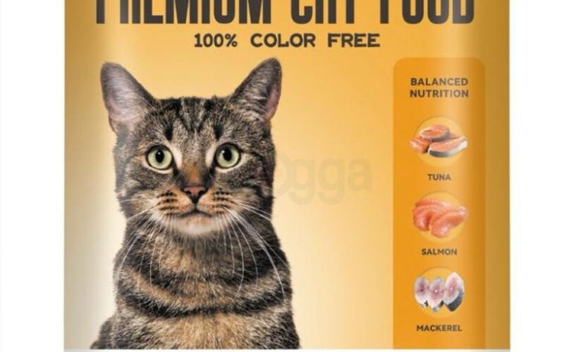 Cheap Cat Food That Is Still Healthy