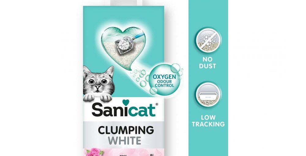 Cat Litter That Doesn’t Stick to Paws