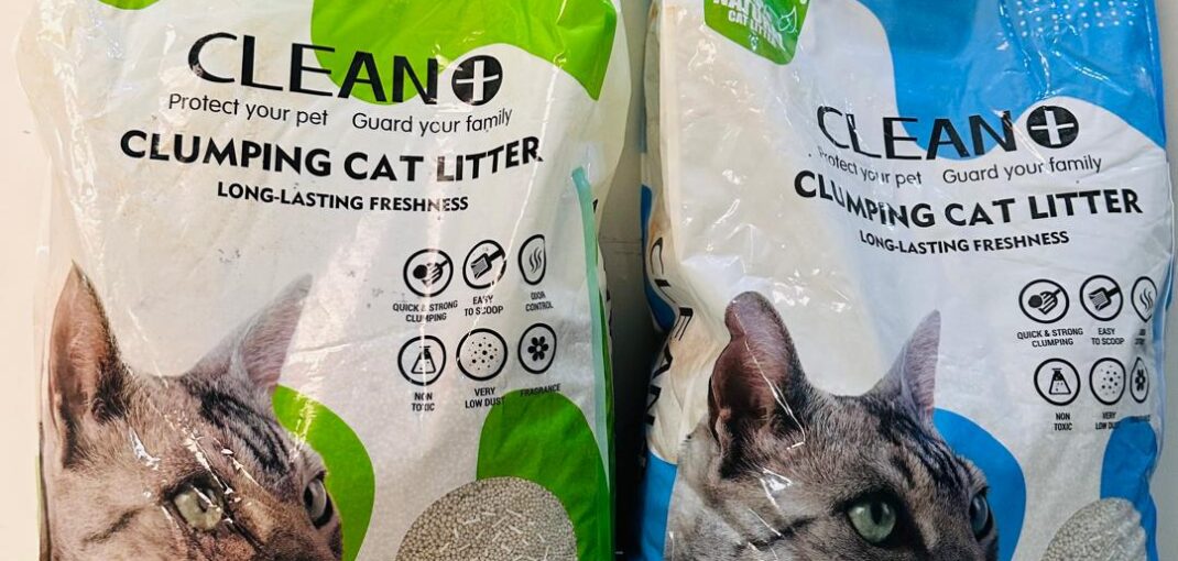 Where to Buy Cat Litter in Gwarinpa Today