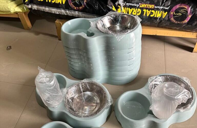 Affordable Pet Bowls & Feeders in Abuja – A Complete Guide for Pet Owners