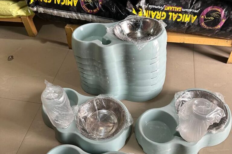 Affordable Pet Bowls & Feeders in Abuja – A Complete Guide for Pet Owners
