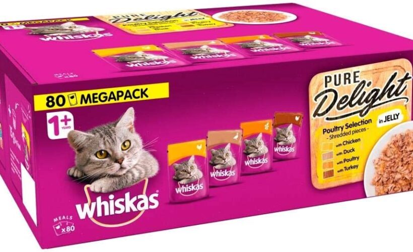 Where to Buy Whiskas Cat Food in Abuja