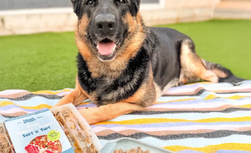 Best Dog Food for German Shepherds in Abuja (Original & Affordable)