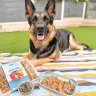 Best Dog Food for German Shepherds in Abuja (Original & Affordable)
