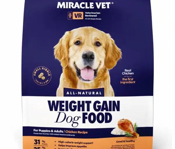 Best Dog Food for Weight Gain in Puppies