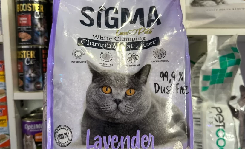 Imported Cat Litter in Abuja – Original Only