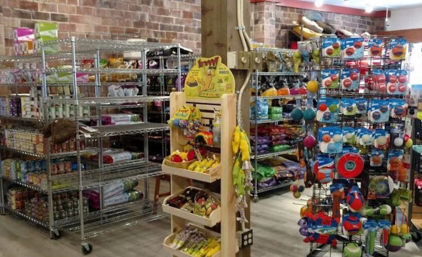 Where to Buy Pet Accessories in Life Camp