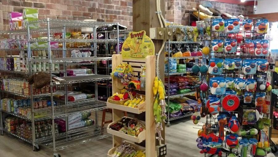 Where to Buy Pet Accessories in Life Camp