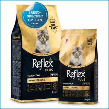 Best Cat Food for Maine Coon Cats in Abuja & Nigeria