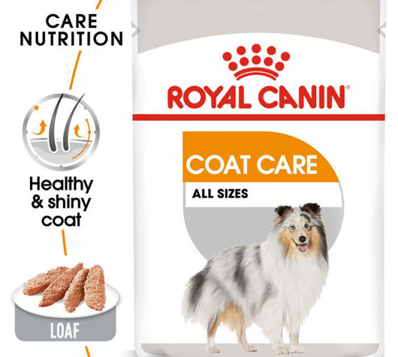 Dog Food That Stops Excessive Shedding in Dogs
