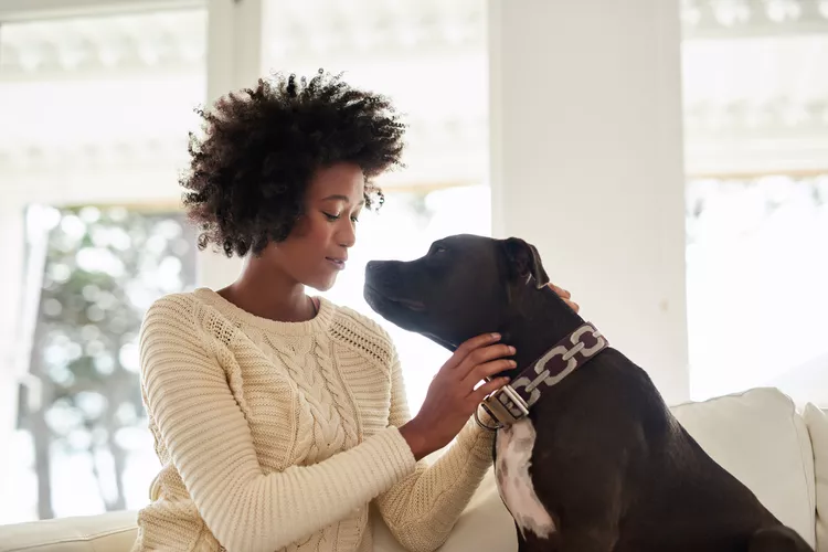 Why Your Dog Thinks You Are Their Whole World (And How to Love Them Back Properly)