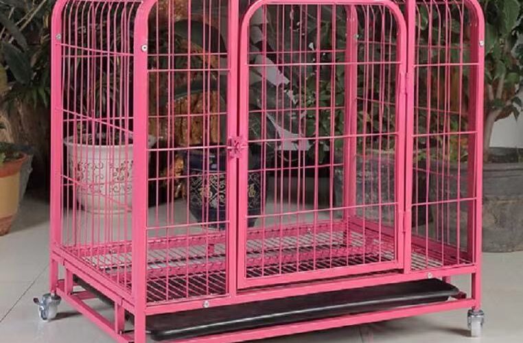 Dog Cage for Adult Dogs Nigeria