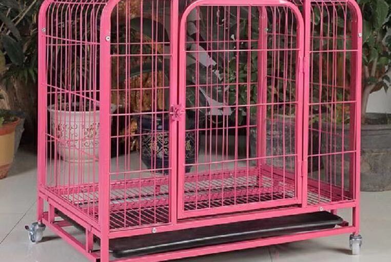 Dog Cage for Adult Dogs Nigeria